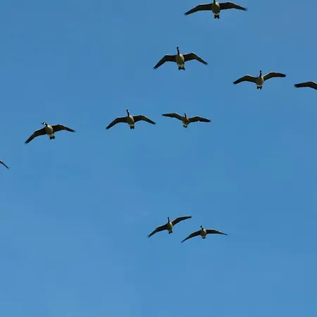 فندق مبيت وإفطار Bed & Kitchen „den Gamle Skole“ Nr. Sejerslev *