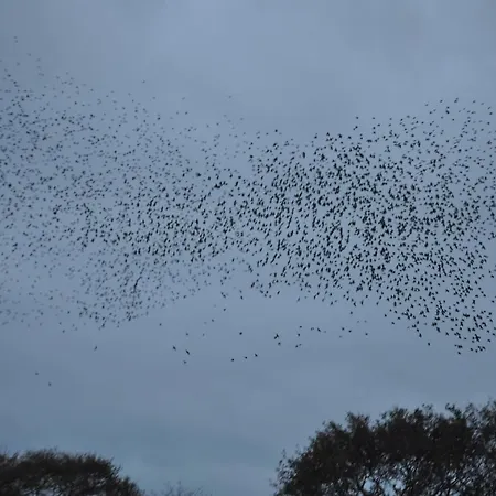 فندق مبيت وإفطار Bed & Kitchen „den Gamle Skole“ Nr. Sejerslev *