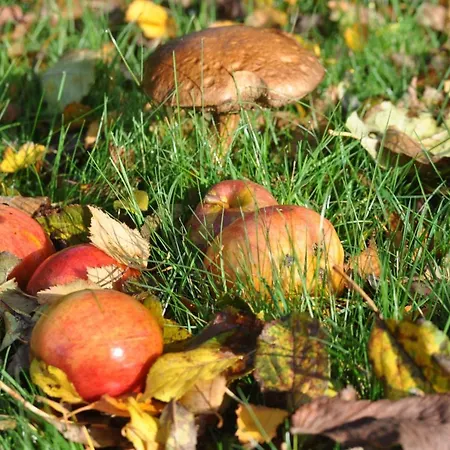 Bed & Kitchen „den Gamle Skole“ Nr. Sejerslev فندق مبيت وإفطار