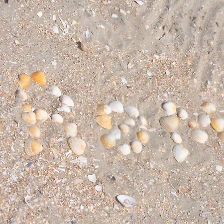 Bed & Kitchen „den Gamle Skole“ Nr. Sejerslev فندق مبيت وإفطار *